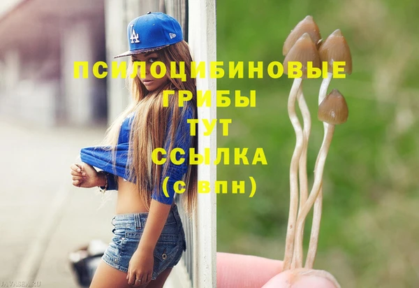хмурый Медвежьегорск