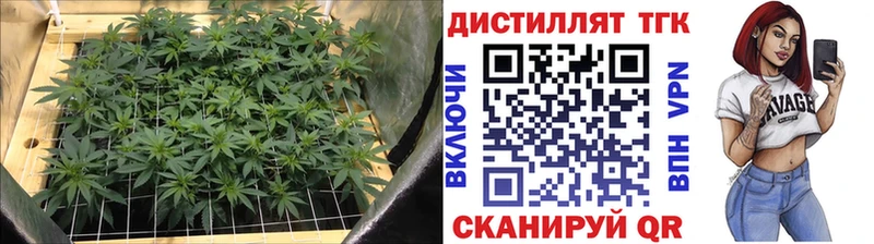 Дистиллят ТГК вейп с тгк  кракен как войти  Данилов 